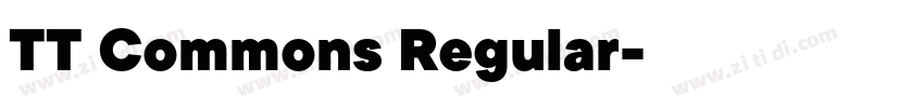 TT Commons Regular字体转换